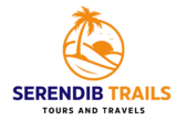 orange and blue minimal travel logo (4)