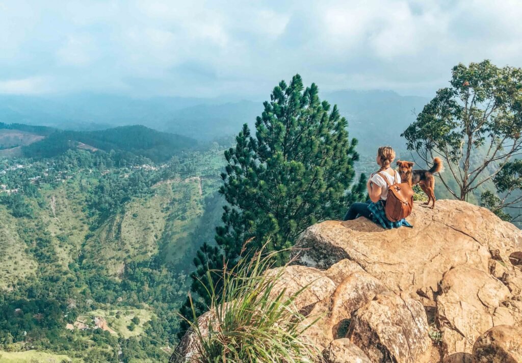 ella sri lanka 4 van 11 scaled