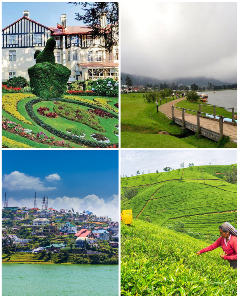 neutral aesthetic instagram portrait post (1)